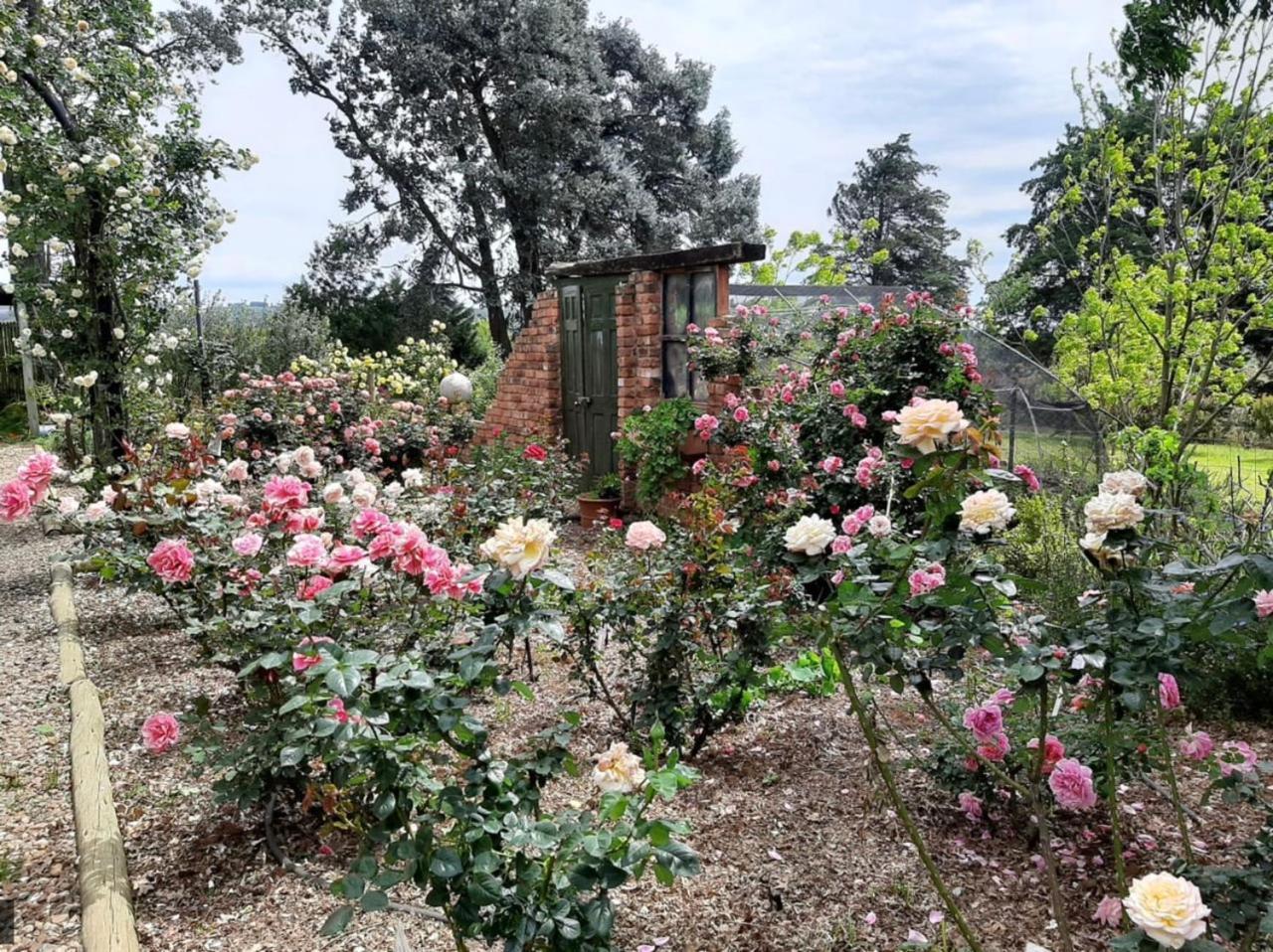 Ama Casa Cottages Champagne Valley エクステリア 写真