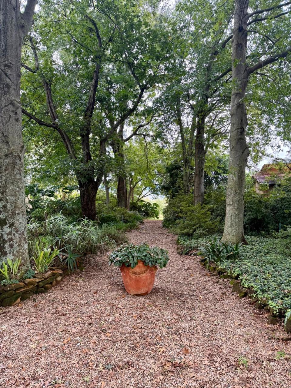 Ama Casa Cottages Champagne Valley エクステリア 写真